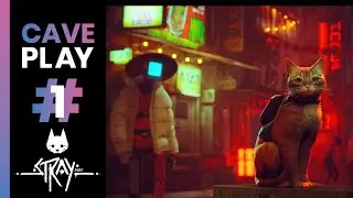 CAVE PLAY FR | STRAY #1