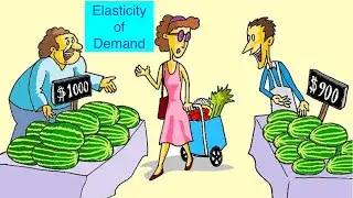 Elasticity of Demand in India 2025 | Real Data, Smart Analysis, Simple Explanation | Economics