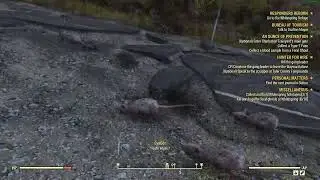 Fallout 76: EyeBot Flute Music Random Encounter