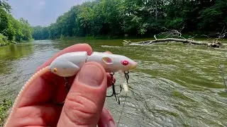 Flooded Creek Fishing with an Albino RAT!