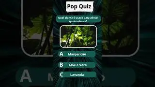 Voc&ecirc; aceita esse desafio? #pop #trivial #quiz  #curiosidades #mundoquiz