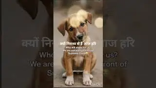 your voice helps this voiceless animals