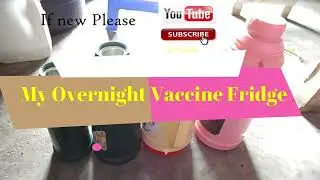 My Overnight Vaccine Fridge