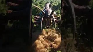 King Kong vs The Giant Centipede: Rise from Deadly Venom