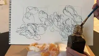 How to Transition an Organic Line Drawing into Negative & Positive Abstract Shapes.