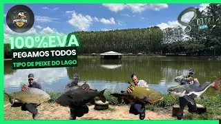 PESQUEIRO PEXE LOKO | Muita ação pescaria 100% EVA, 28, 26 e peixe de 20 KL saiu muitos