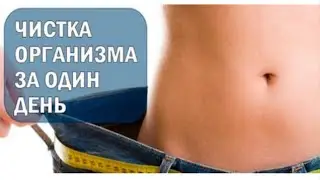Чистка организма за 1 день натуральными и безопасными методами