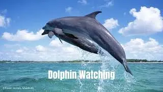 Maldives 4 Days 3 Nights Holiday Package (code: KPM01)