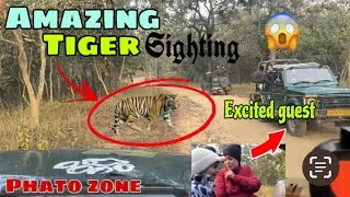 Amazing ￼Tiger￼ sighting jim Corbett in phato Zone🫵😱🐅#wildlife 