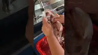 SIANG IKAN DURI