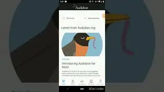 Trying the New Audubon App!
