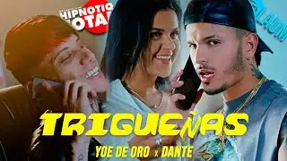 Yoe De Oro ❌ Dante - Trigueñas (Video Oficial)
