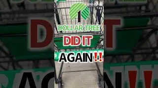 OOPS 😬 DOLLAR TREE DID IT AGAIN&hellip;NEW MUST HAVE DUPES‼️ 05/23/25 #new #dupes #dollartree #shopping