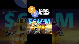 $646M Inflow! Is the Smart Money Returning? #crypto