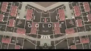 GOLDIE - HAMMERTIME