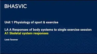 A1 Skeletal system responses
