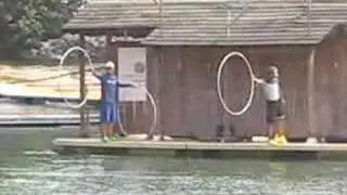 Intelligent Dolphin
