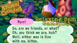 Relaxing 5pm Animal Crossing Population Growing Gameplay (No Commentary) AC Gamecube