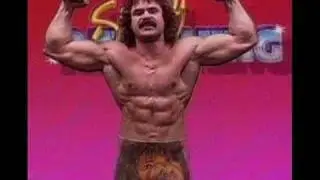 WWF CLASSIC THEMES 1