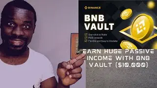 Earn $1000 worth of passive income on BNB VAULT | BNB Yield Aggregator