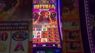 Buffalo Surge BONUS! 135x bet win! #slots #lasvegas