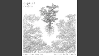 Caracol (Ka:lu Remix)