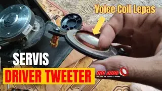 Servis Driver Tweetter RCF N350
