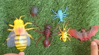 Imitation animals ASMR|Biggest Bat|biggest honey bee|biggest Ant #satisfyingvideo
