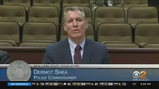 Assembly Lawmakers Grill NYPD Commissioner Dermot Shea About Gun Violence