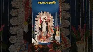 #viralvideo #Saraswatipuja#bahiri#shorts#saraswati