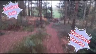 Whinfell forest fence line centre parcs