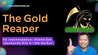รีวิว The Gold Reaper EA 2025 เทรดทองสุดอมตะ เน้นปลอดภัย กำไร 5-10% ต่อเดือน | Eaforexthai
