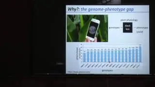 Abraham Stroock: Opportunities for Nano-biotechnology in Plant Science and Agriculture