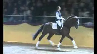 Don Diamond - Elite Stallions