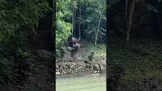 Big Swing Villa Filomena Natural Spring Resort.2.1