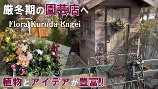 【厳冬期の黒田園芸さん】クチコミ以上に楽し過ぎた*植え込みと鉢植えコーナーの着手/リサイクルガーデニング
