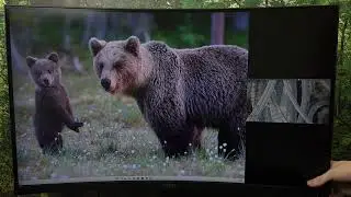 MSI MAG 321CUP: PBP (Picture-by-Picture) कैसे चालू करें और सेट करें