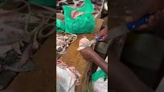 This process