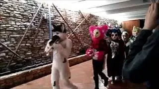 ACFI 2017 Furry Parade