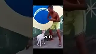 Legendary Cat Memes (Then Vs Now) 😿💔