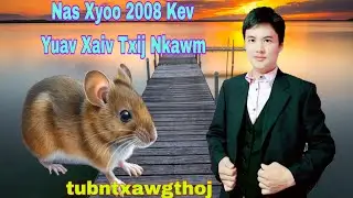Nas Xyoo 2008 Yuav Xaiv Tus Txij Nkawm Twg