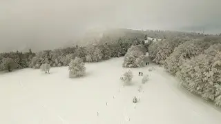 Le parc des Ballons des Vosges, sublime et gourmand - Météo à la carte
