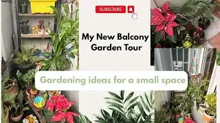 My new garden tour|| Beginning my gardening journey in my new den|| Balcony garden decor #gardening 