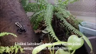 Tervetuloa tutustumaan bio- ja ympäristötieteiden laitokselle