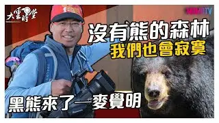 【完整版】熊熊危機！族人：沒有熊的森林，人也會寂寞...20191216【麥覺明、黃修德、朱有田】
