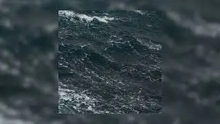 FRENCH POLICE - Karma [OFFICIAL AUDIO]