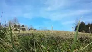 Farm scape