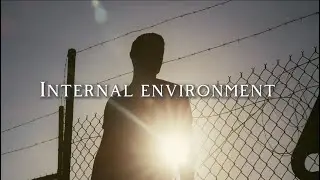 Megan Louvin: INTERNAL ENVIRONMENT
