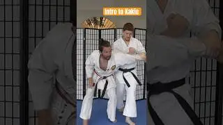 Intro to Kakie: drills for hand speed and redirection