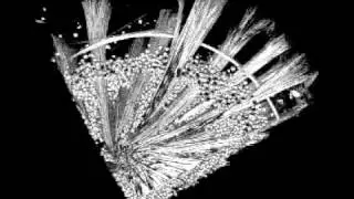 Functional morphology of Tethya species (Porifera): 2. Three-dimensional morphometrics on spicules